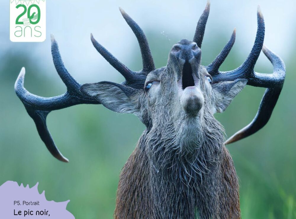 Vivre le Parc, nouvelle édition