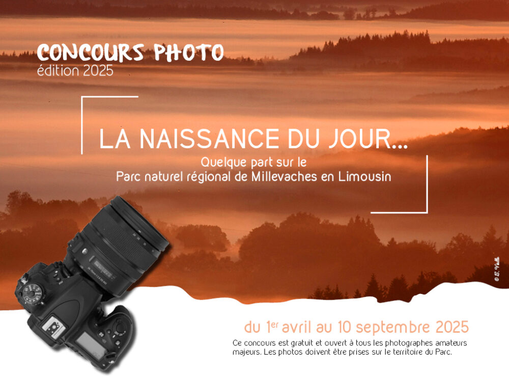 Photographiez la naissance du jour