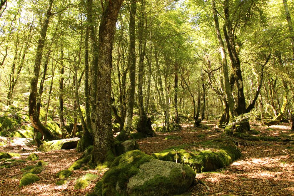 Partez en balade à Clédat