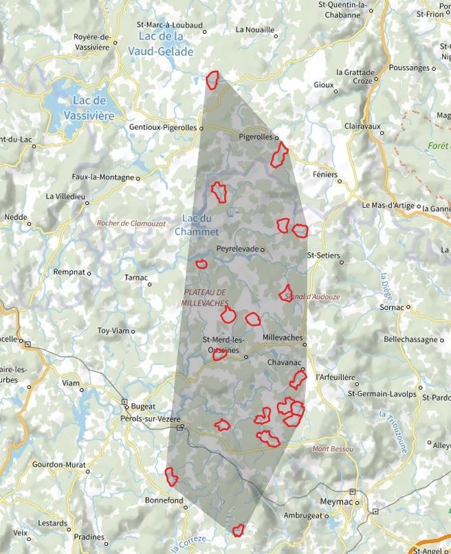 Carte de répartition de la pie-grièche grise en 2025