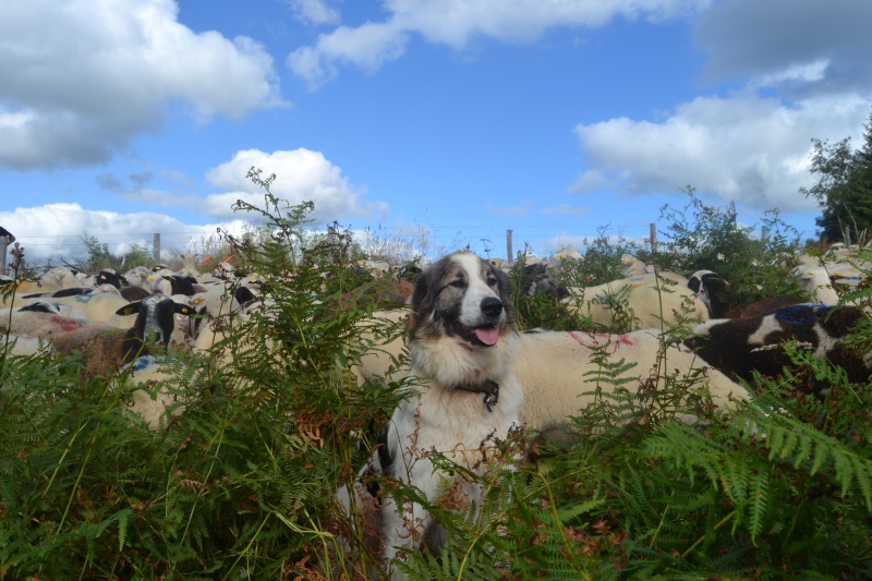 Prêt de matériel aux agriculteurs